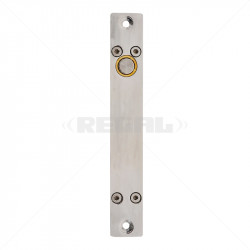 Stainless Steel Bolt Action Lock Fail Safe with Hold Open Time 12VDC