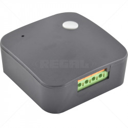 Digi - 1 Channel Receiver E-Key