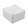 Securi-Prod Plastic Enclosure - 100 x 100 x 50mm
