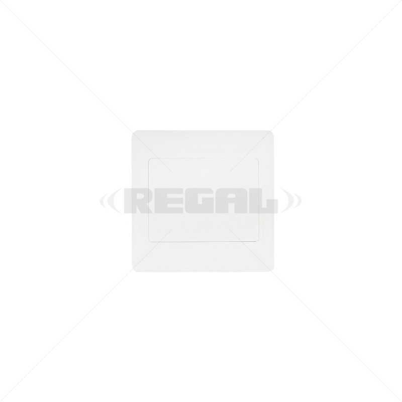 CONDUIT PVC Cover Plate - 4 x 4" Box CONDUIT PVC Cover Plate - 4 x 4" Box